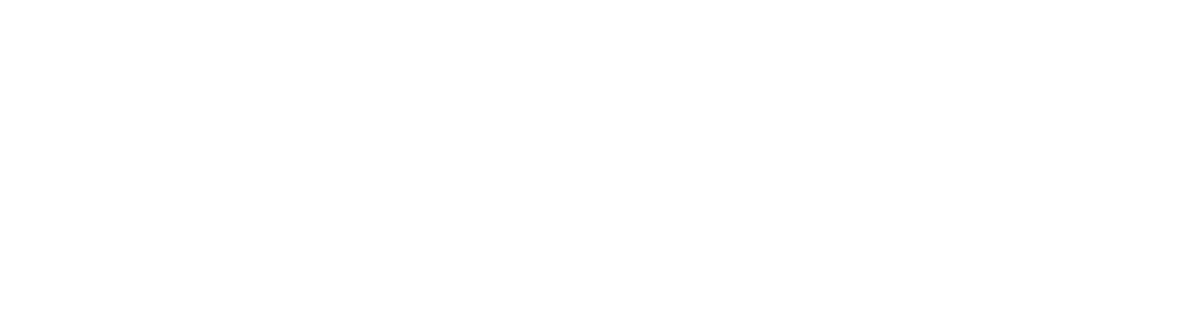 Black Sails Ventures